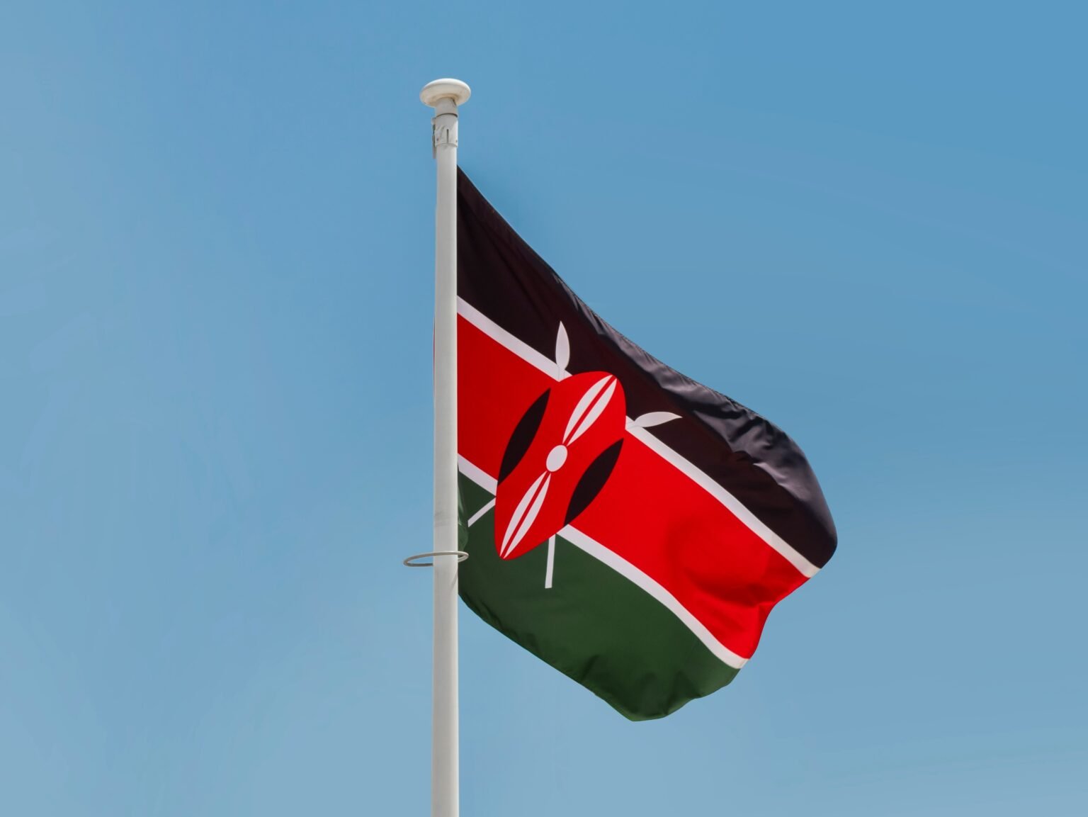 aboodi vesakaran 4oicd8xckk8 unsplash