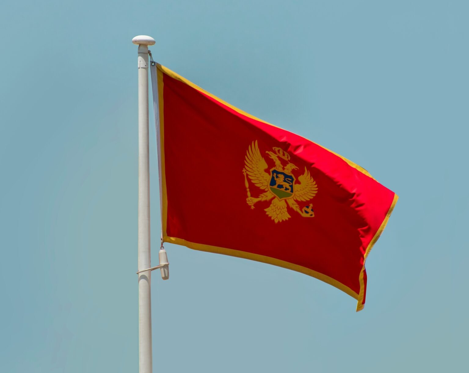 aboodi vesakaran queqexamrjk unsplash